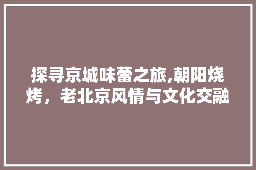 探寻京城味蕾之旅,朝阳烧烤，老北京风情与文化交融之地