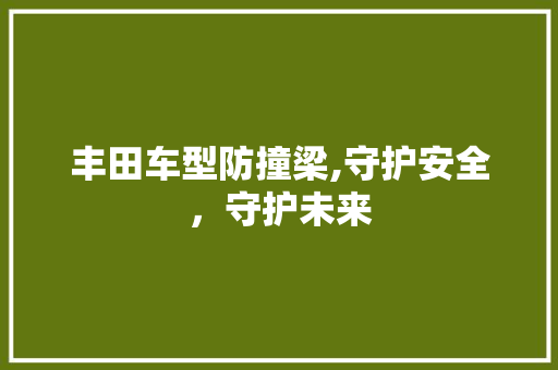 丰田车型防撞梁,守护安全，守护未来