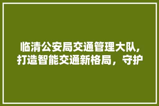 临清公安局交通管理大队,打造智能交通新格局，守护平安出行