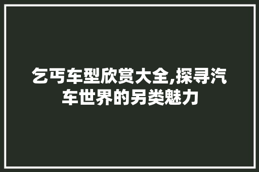 乞丐车型欣赏大全,探寻汽车世界的另类魅力