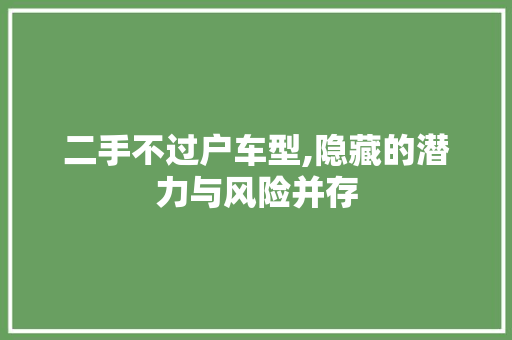 二手不过户车型,隐藏的潜力与风险并存