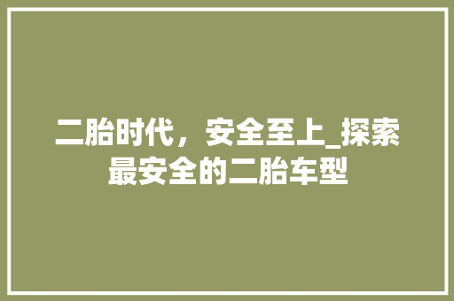 二胎时代，安全至上_探索最安全的二胎车型