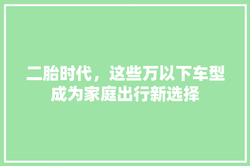 二胎时代，这些万以下车型成为家庭出行新选择