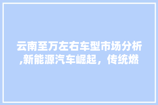 云南至万左右车型市场分析,新能源汽车崛起，传统燃油车转型