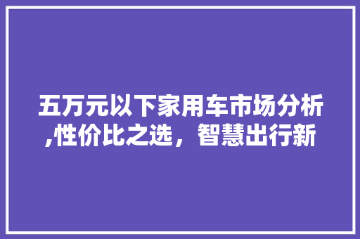 五万元以下家用车市场分析,性价比之选，智慧出行新篇章