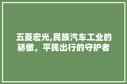 五菱宏光,民族汽车工业的骄傲，平民出行的守护者