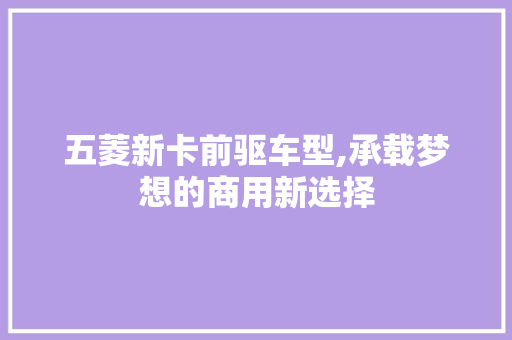 五菱新卡前驱车型,承载梦想的商用新选择