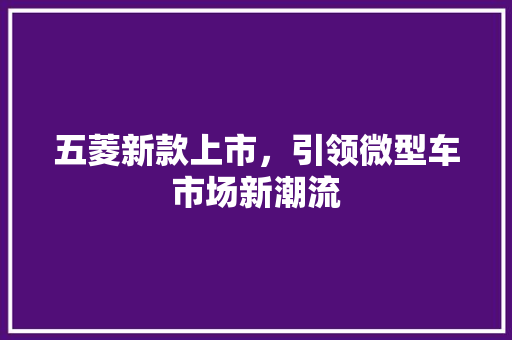 五菱新款上市，引领微型车市场新潮流