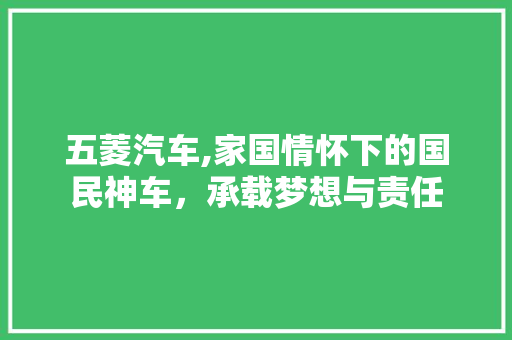 五菱汽车,家国情怀下的国民神车，承载梦想与责任