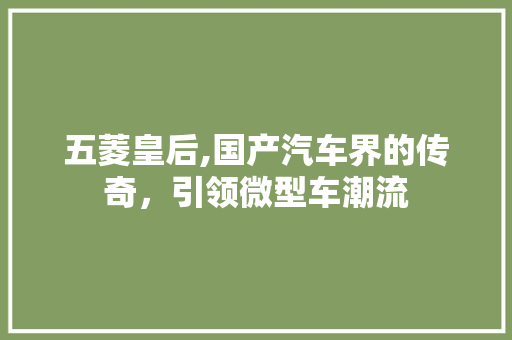 五菱皇后,国产汽车界的传奇，引领微型车潮流