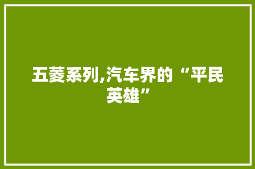 五菱系列,汽车界的“平民英雄”