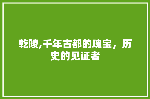 乾陵,千年古都的瑰宝，历史的见证者