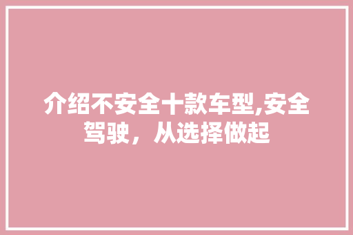 介绍不安全十款车型,安全驾驶，从选择做起