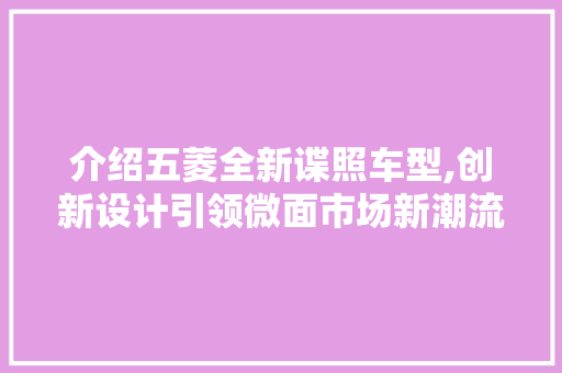 介绍五菱全新谍照车型,创新设计引领微面市场新潮流