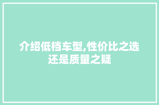 介绍低档车型,性价比之选还是质量之疑