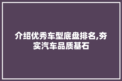 介绍优秀车型底盘排名,夯实汽车品质基石