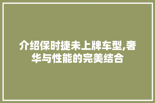 介绍保时捷未上牌车型,奢华与性能的完美结合