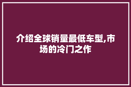 介绍全球销量最低车型,市场的冷门之作