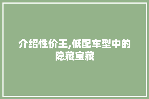 介绍性价王,低配车型中的隐藏宝藏