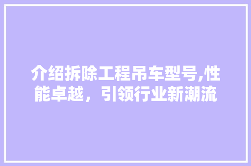 介绍拆除工程吊车型号,性能卓越，引领行业新潮流