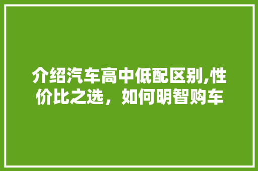 介绍汽车高中低配区别,性价比之选，如何明智购车