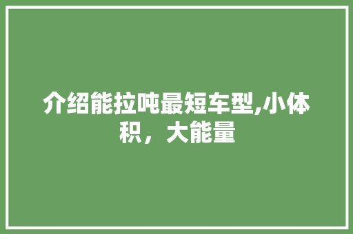 介绍能拉吨最短车型,小体积，大能量