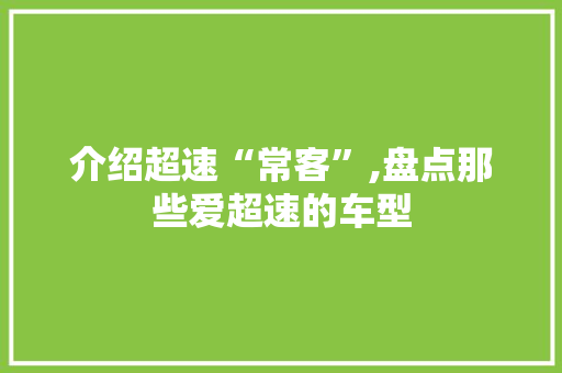 介绍超速“常客”,盘点那些爱超速的车型