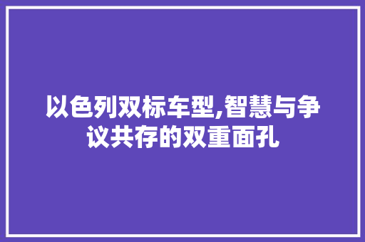 以色列双标车型,智慧与争议共存的双重面孔