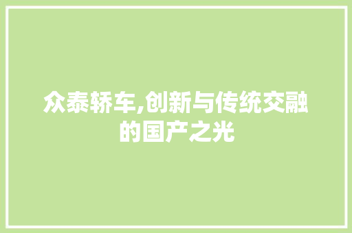 众泰轿车,创新与传统交融的国产之光