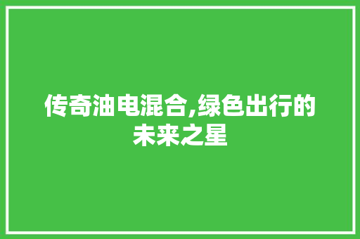 传奇油电混合,绿色出行的未来之星