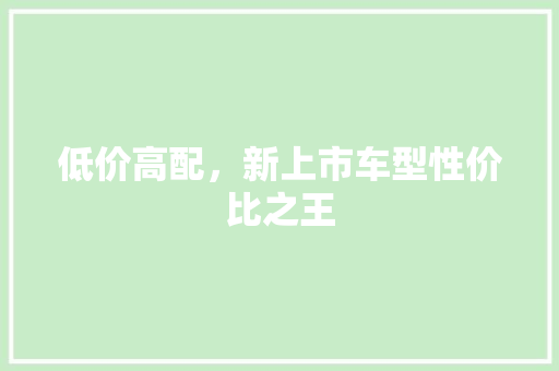 低价高配，新上市车型性价比之王