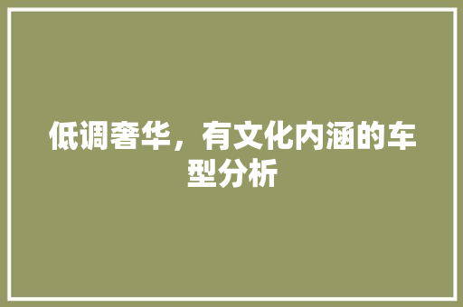 低调奢华，有文化内涵的车型分析