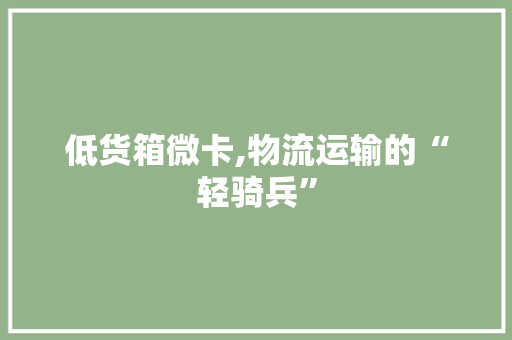 低货箱微卡,物流运输的“轻骑兵”