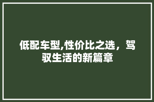 低配车型,性价比之选，驾驭生活的新篇章