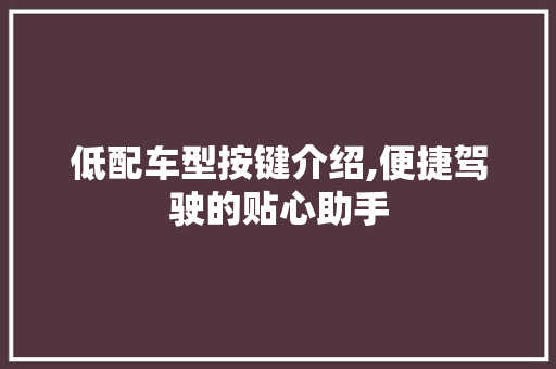 低配车型按键介绍,便捷驾驶的贴心助手