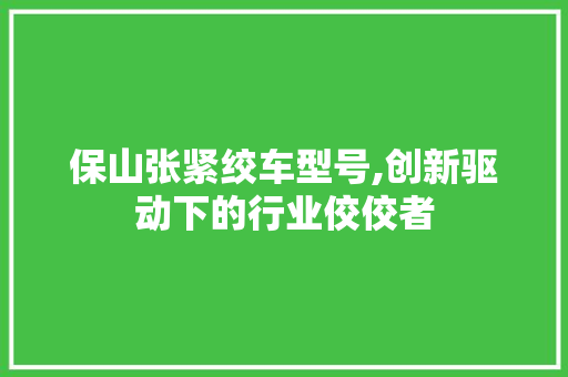 保山张紧绞车型号,创新驱动下的行业佼佼者