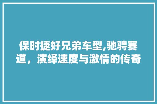 保时捷好兄弟车型,驰骋赛道，演绎速度与激情的传奇