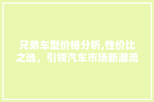 兄弟车型价格分析,性价比之选，引领汽车市场新潮流