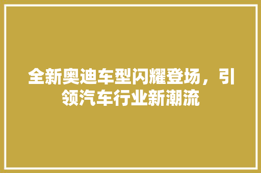 全新奥迪车型闪耀登场，引领汽车行业新潮流