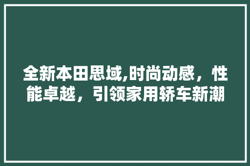 全新本田思域,时尚动感，性能卓越，引领家用轿车新潮流