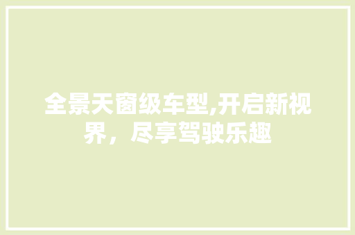 全景天窗级车型,开启新视界，尽享驾驶乐趣