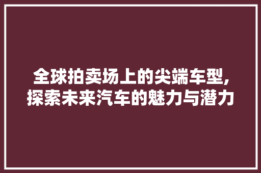 全球拍卖场上的尖端车型,探索未来汽车的魅力与潜力