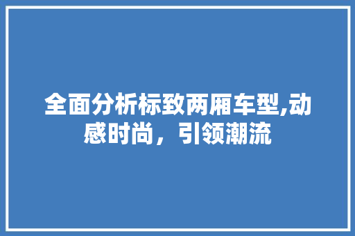 全面分析标致两厢车型,动感时尚，引领潮流