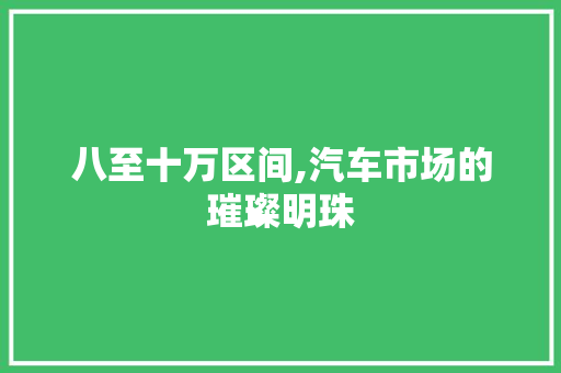 八至十万区间,汽车市场的璀璨明珠