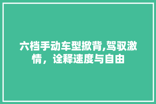 六档手动车型掀背,驾驭激情，诠释速度与自由