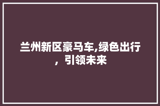 兰州新区豪马车,绿色出行，引领未来