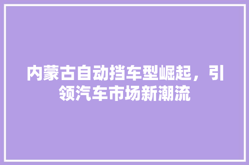 内蒙古自动挡车型崛起，引领汽车市场新潮流