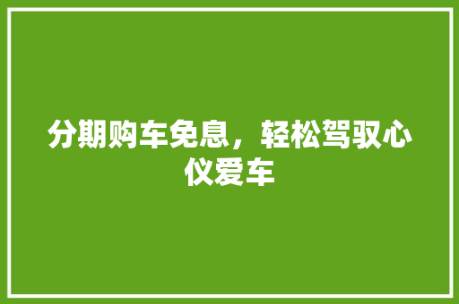 分期购车免息，轻松驾驭心仪爱车