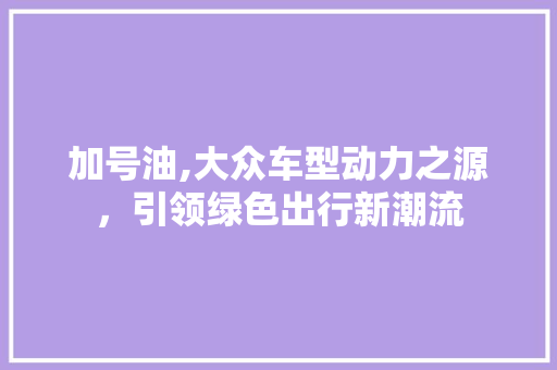 加号油,大众车型动力之源，引领绿色出行新潮流