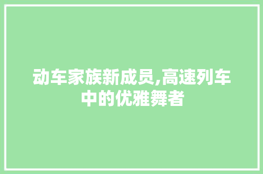 动车家族新成员,高速列车中的优雅舞者